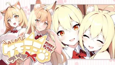 おしかけケモミミついんず FURRY TWINSのパッケージ画像