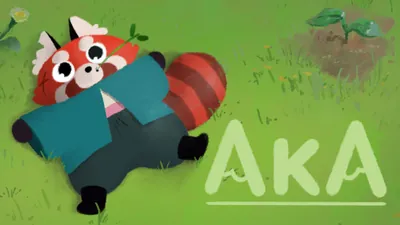 Akaのパッケージ画像