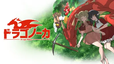 ドラゴノーカのパッケージ画像