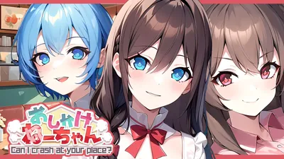 おしかけねーちゃん Can I crash at your place?のパッケージ画像