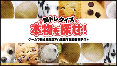 脳トレクイズ 本物を探せ！ーゲームで鍛える脳活アハ活雑学教養診断テストーのパッケージ画像