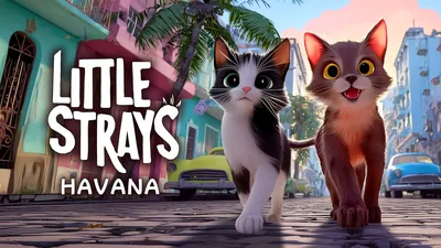 Little Strays 迷子の小さな子猫たち: Havanaのパッケージ画像
