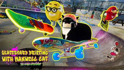 Skateboard Drifting with Maxwell Cat: The Game Simulatorのパッケージ画像