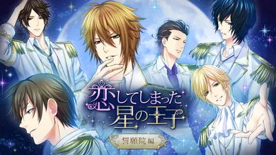 恋してしまった星の王子 ~誓願院編~のパッケージ画像