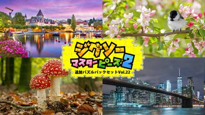 追加パズルパックセットVol.22のパッケージ画像