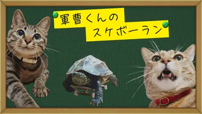 軍曹くんのスケボーランのパッケージ画像