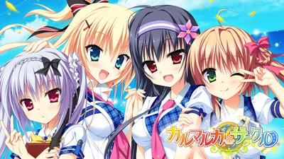 カルマルカ*サークルのパッケージ画像