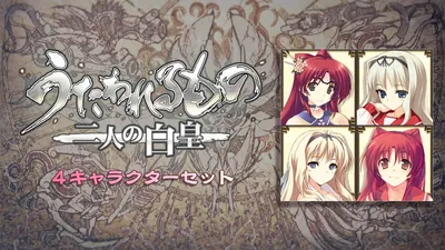 DLCユニットデータ 「4キャラクターセット」のパッケージ画像