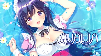 QUALIA ~約束の軌跡~のパッケージ画像