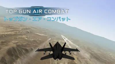 Top Gun Air Combatのパッケージ画像