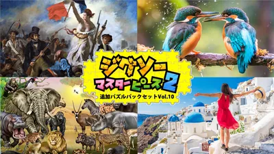 追加パズルパックセットVol.10のパッケージ画像