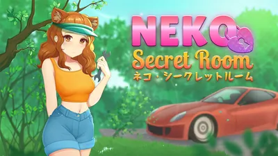 ネコ・シークレットルームのパッケージ画像