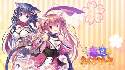 猫忍えくすはーとのパッケージ画像