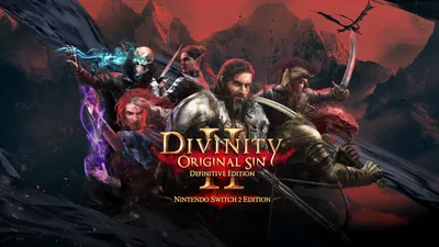 Divinity: Original Sin 2 Definitive Edition - Nintendo Switch 2 Editionのパッケージ画像