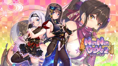 NinNinDays2のパッケージ画像