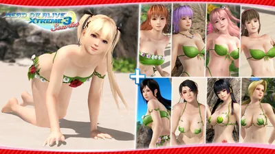 エクストリームセクシーコスチュームVセットのパッケージ画像