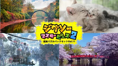 追加パズルパックセットVol.11のパッケージ画像