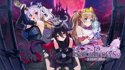 プリズンプリンセス ハメられし姫たちのパッケージ画像
