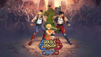 Double Dragon Gaiden: Rise of the Dragonsのパッケージ画像