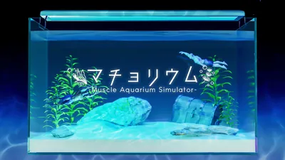 マチョリウム -Muscle Aquarium Simulator-のパッケージ画像