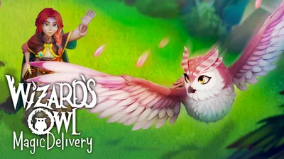 Wizards Owl: Magic Deliveryのパッケージ画像