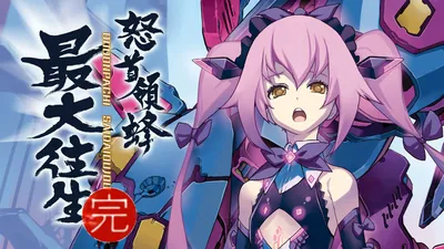 怒首領蜂最大往生のパッケージ画像