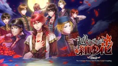 越えざるは紅い花 ~対の月~のパッケージ画像