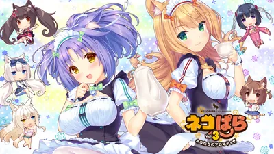 ネコぱらVol.3 ネコたちのアロマティゼのパッケージ画像