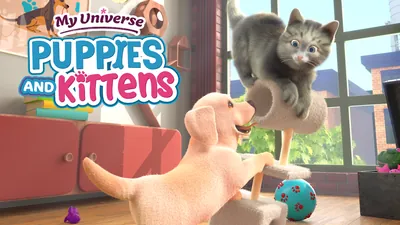 My Universe - Puppies and Kittensのパッケージ画像