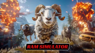 Ram Simulatorのパッケージ画像