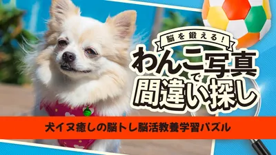 脳を鍛える！わんこ写真で間違い探しー犬イヌ癒しの脳トレ脳活教養学習パズルーのパッケージ画像