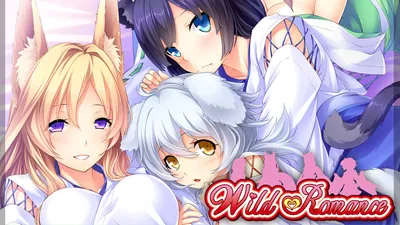 Wild Romanceのパッケージ画像