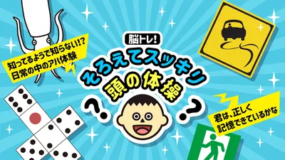 脳トレ！そろえてスッキリ頭の体操ー知ってるようで知らない！？日常の中のアハ体験 君は、正しく記憶できているかなーのパッケージ画像