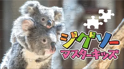 ジグソーマスターキッズのパッケージ画像
