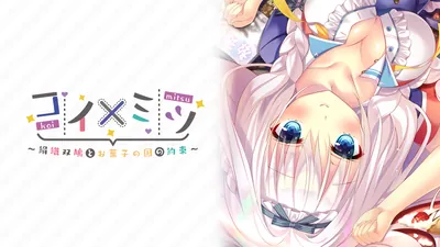 コイ×ミツ ~絹織双鳩とお菓子の国の約束~のパッケージ画像