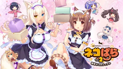 ネコぱらVol.2 姉妹ネコのシュクレのパッケージ画像