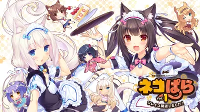 ネコぱらVol.1 ソレイユ開店しました!のパッケージ画像