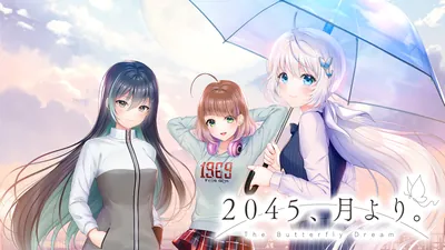2045、月より。のパッケージ画像