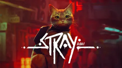 Stray (ストレイ)のパッケージ画像