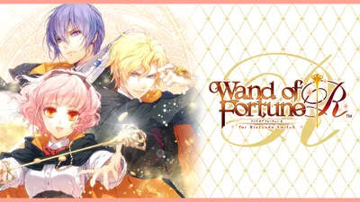 ワンド オブ フォーチュン R for Nintendo Switchのパッケージ画像