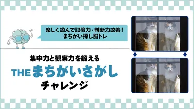 集中力と観察力を鍛える  THEまちがいさがしチャレンジ ー楽しく遊んで記憶力・判断力改善！まちがい探し脳トレーのパッケージ画像