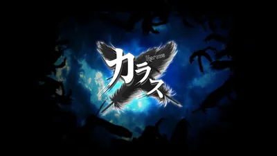 Karousのパッケージ画像