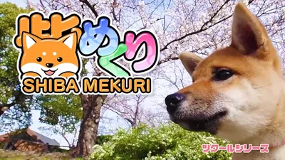 ツクールシリーズ 柴めくりのパッケージ画像