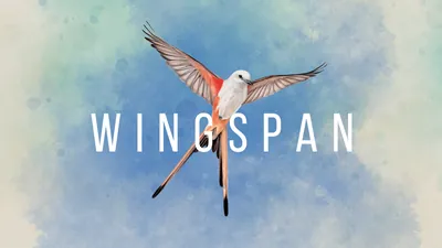 WINGSPAN (ウイングスパン)のパッケージ画像